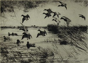 Image description is not available for DU1946.243